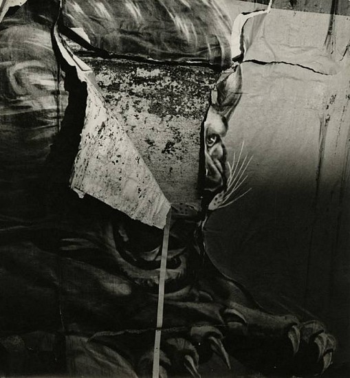 Gita Lenz, Lion (circus)
late 1940s - 1950s, Vintage gelatin silver print