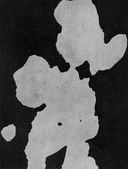 Daniel Masclet, Ecorce de platane
1949, Vintage gelatin silver print