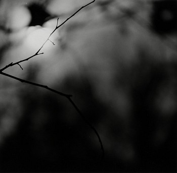 4179web