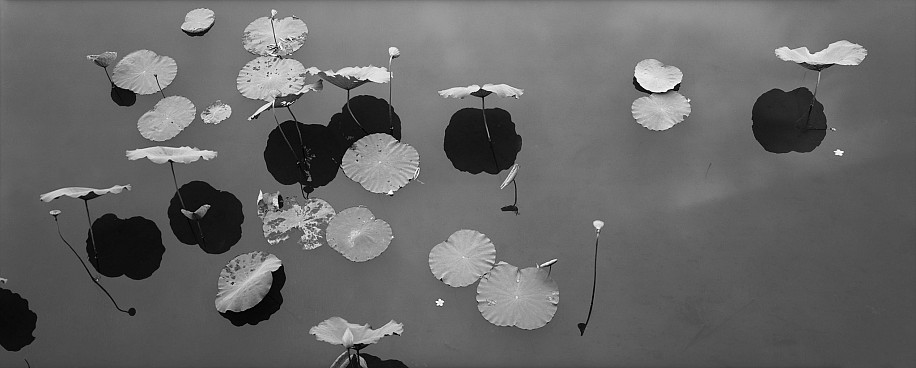 Lois Conner, The Citadel, Hue, Vietnam
1995, Platinum print
